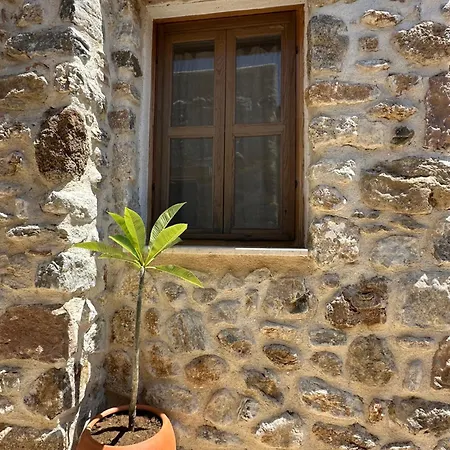 Holiday home Dam